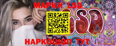 гидра Новозыбков