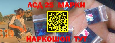 гидра Новозыбков