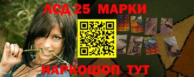 гидра Новозыбков