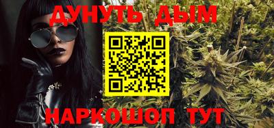 гидра Новозыбков