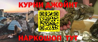 гидра Новозыбков