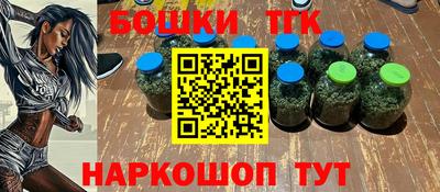 гидра Новозыбков