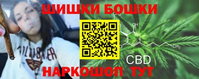 прущие грибы Новокубанск