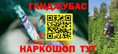 прущие грибы Новокубанск