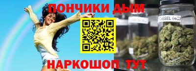 гидра Новозыбков